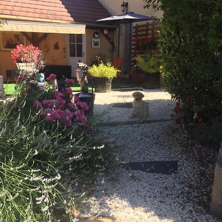 Vila Le Jardin De Theleme "Charme Discret Pour Un Nid Douillet" Mazille Exteriér fotografie