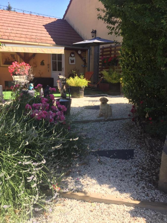 Vila Le Jardin De Theleme "Charme Discret Pour Un Nid Douillet" Mazille Exteriér fotografie